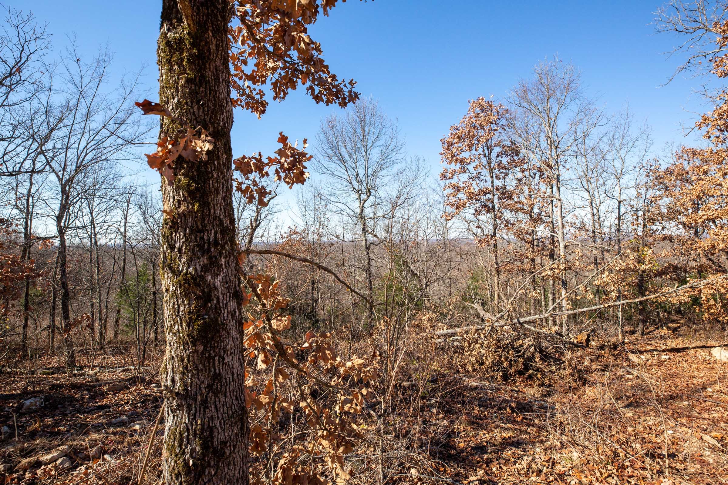 Dutchman Hollow Tract 2 photo 8