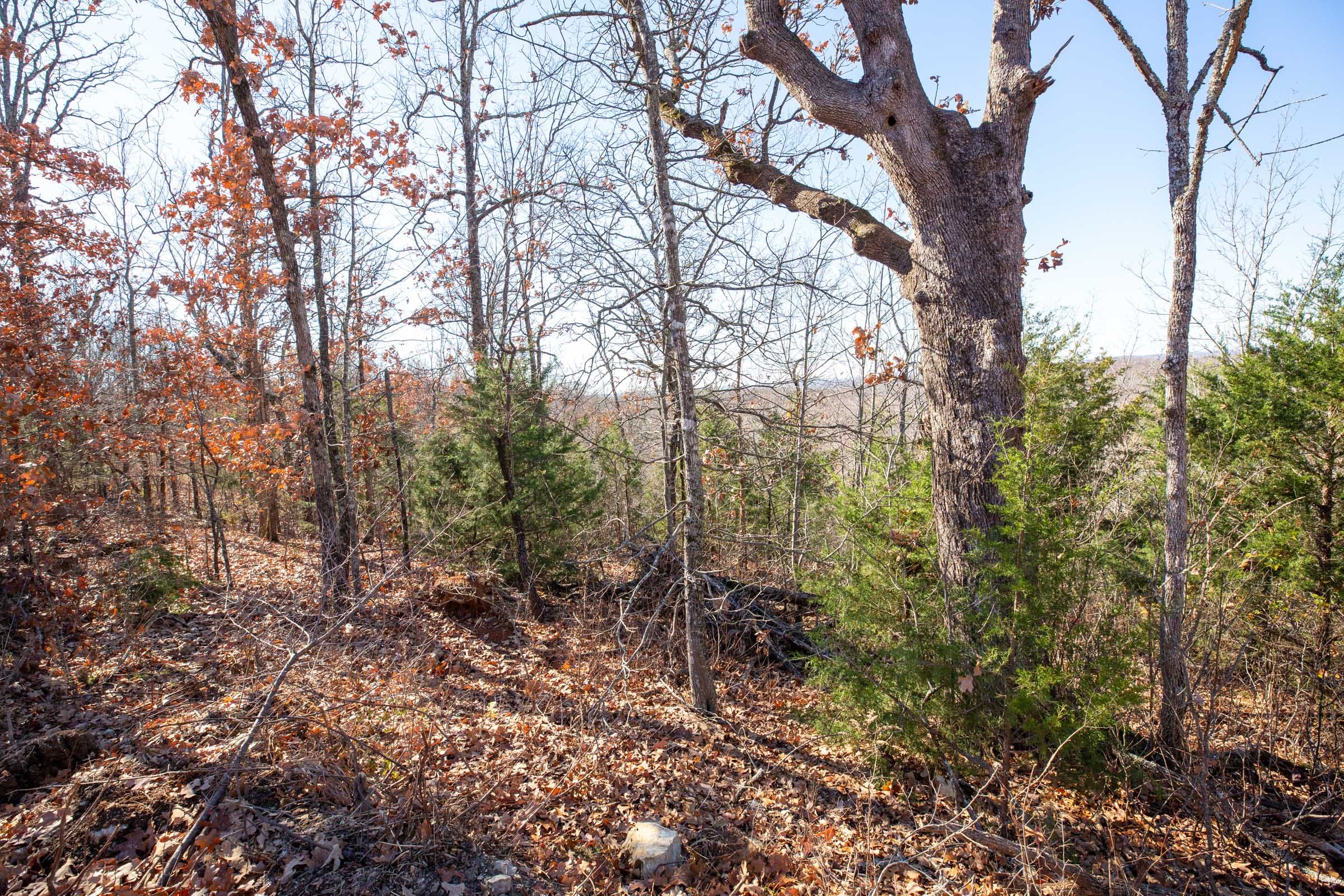 Dutchman Hollow Tract 2 photo 10