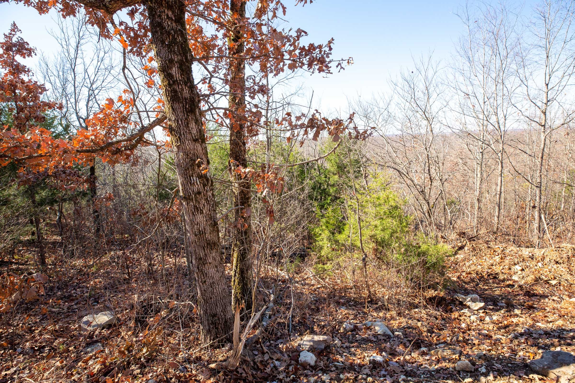 Dutchman Hollow Tract 2 photo 11