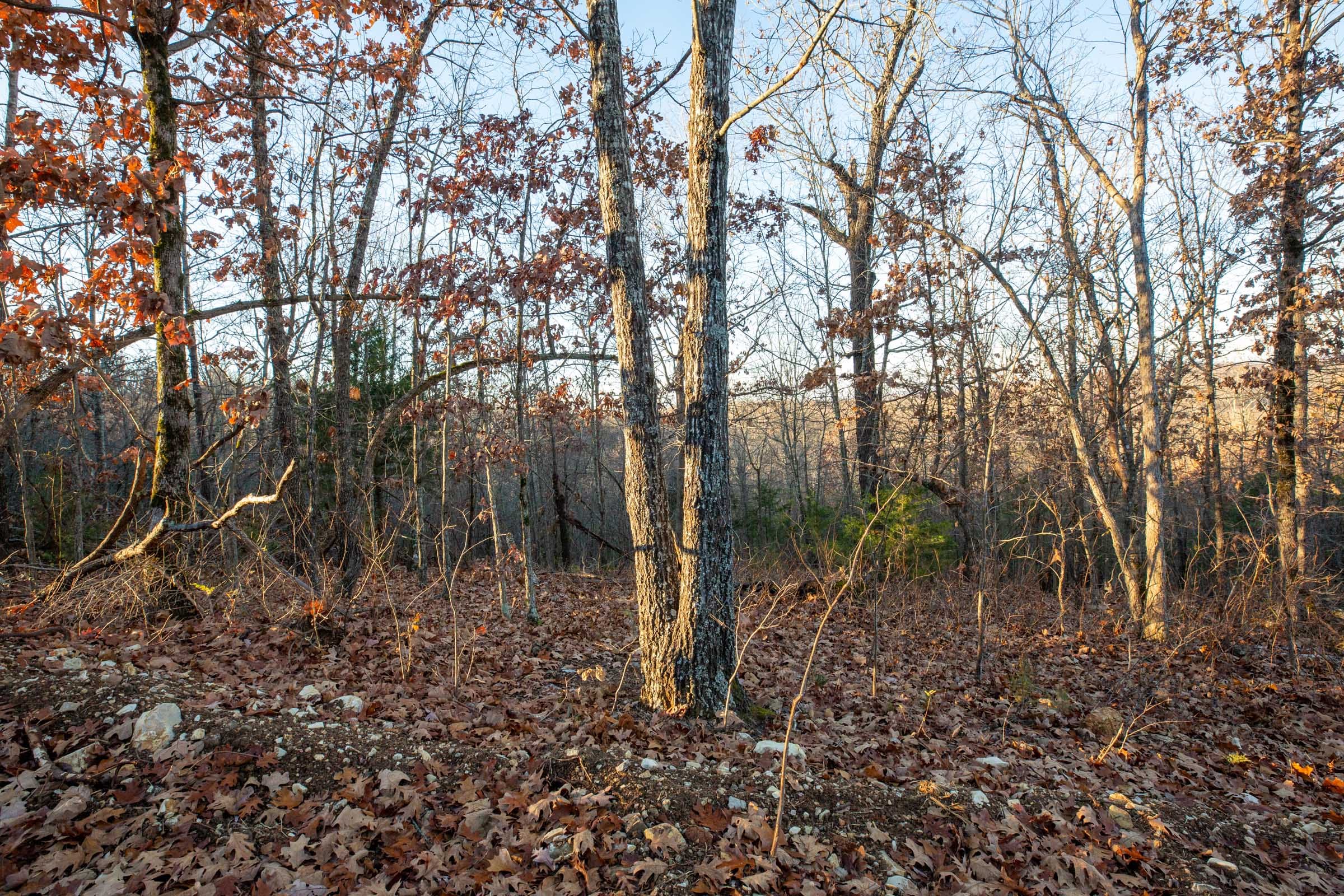 Dutchman Hollow Tract 2 photo 7