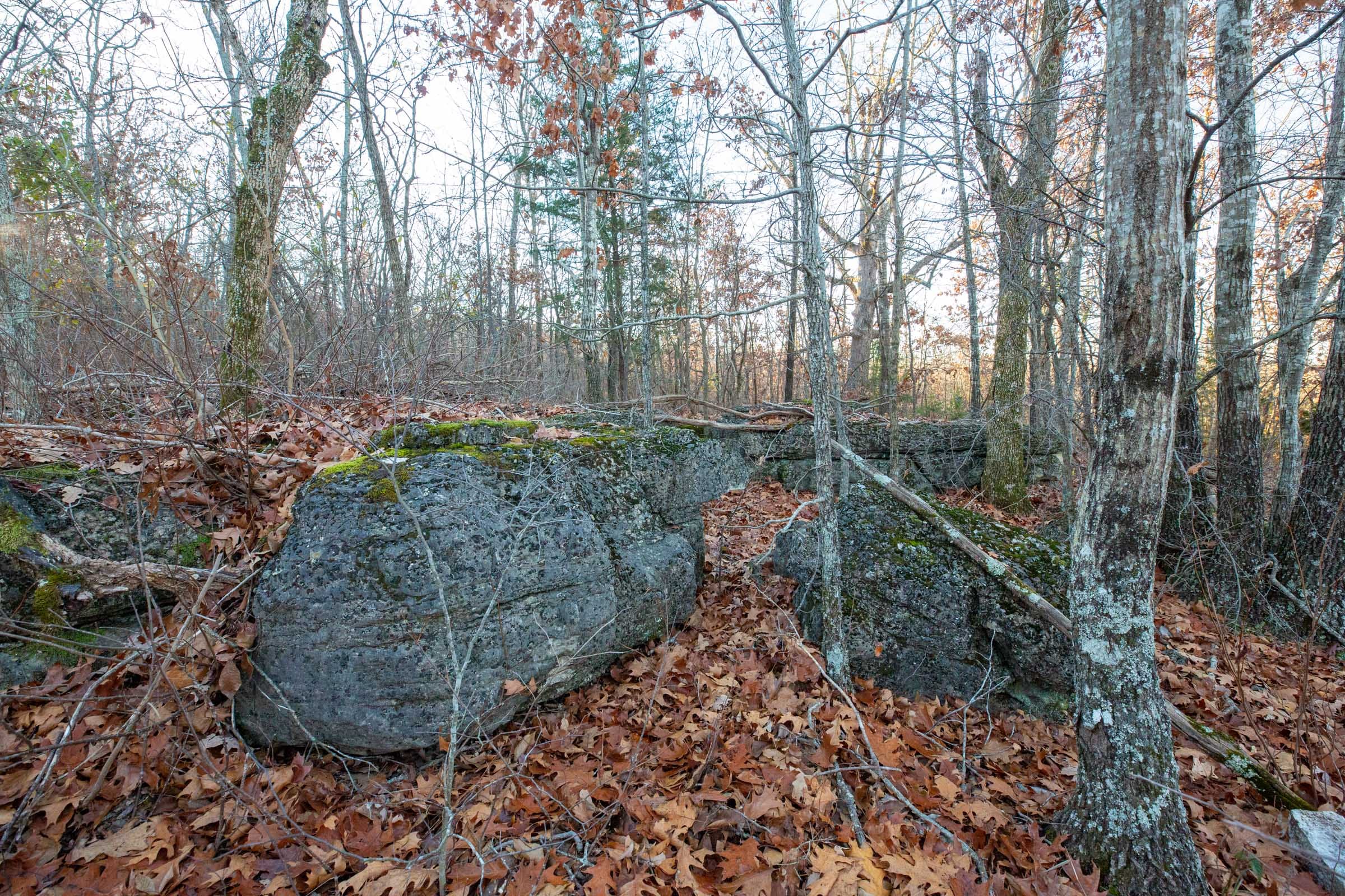 Dutchman Hollow Tract 2 photo 5