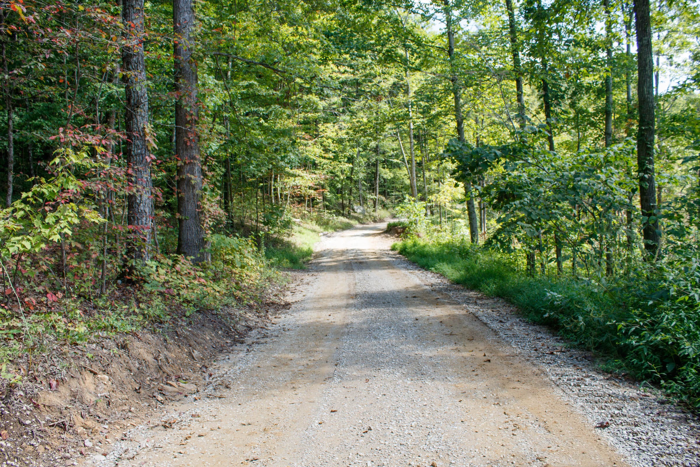 Wounded Oak Tract 13 photo 4