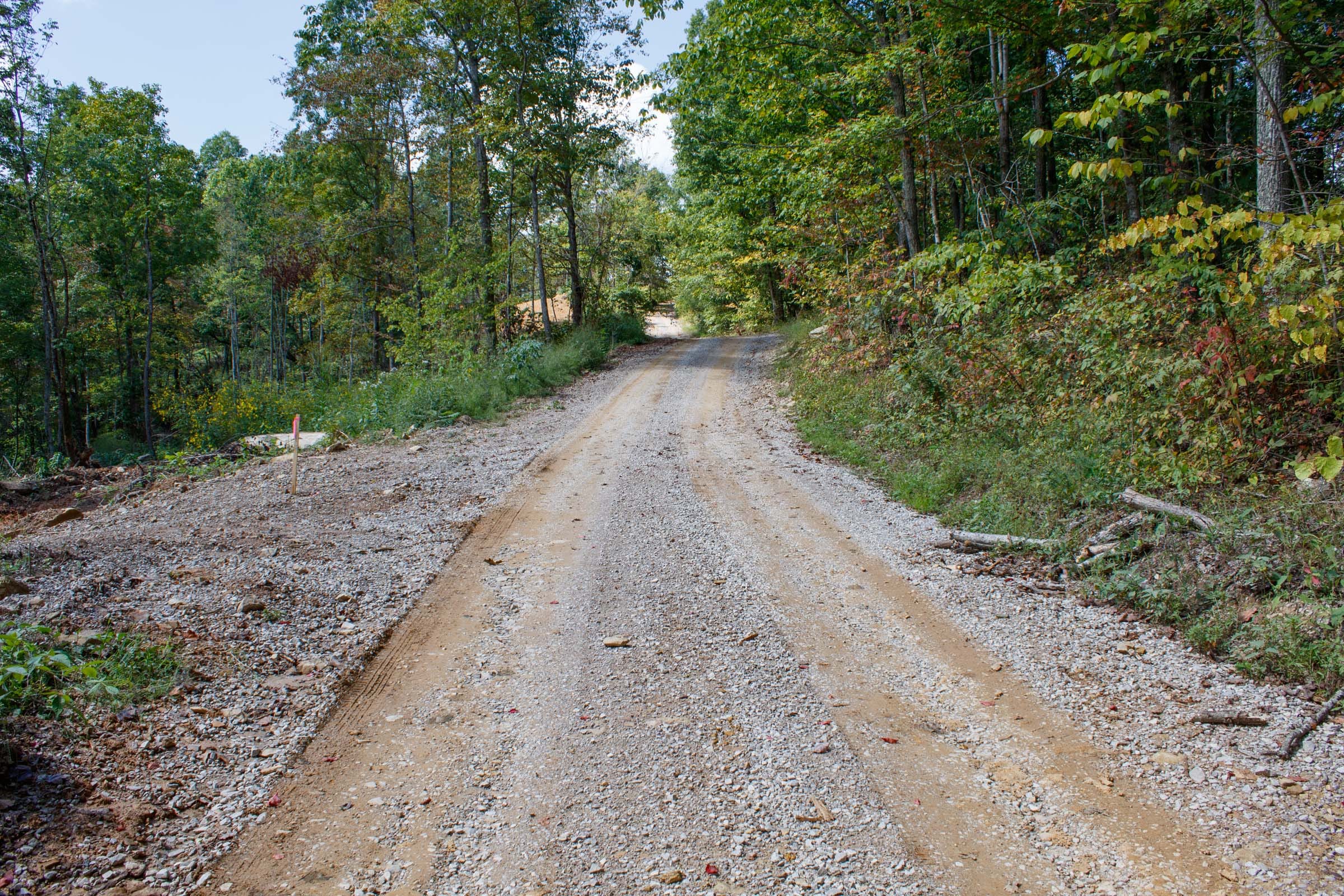 Wounded Oak Tract 13 photo 1