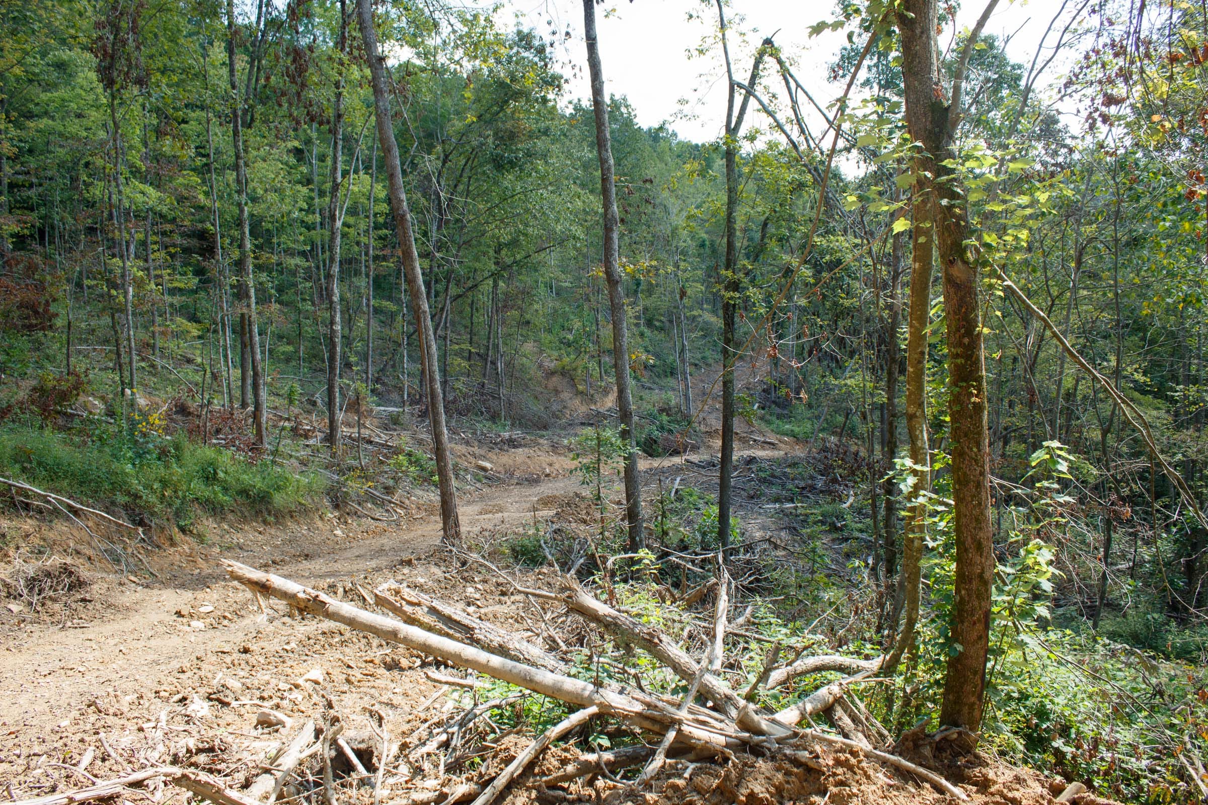 Wounded Oak Tract 13 photo 9