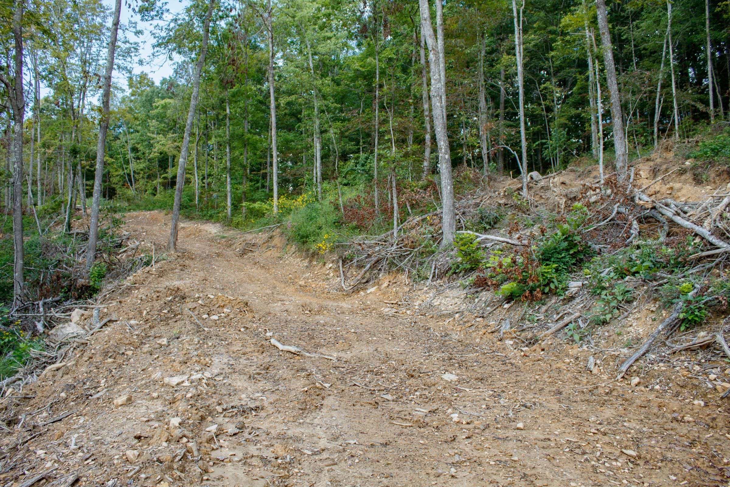 Wounded Oak Tract 13 photo 12