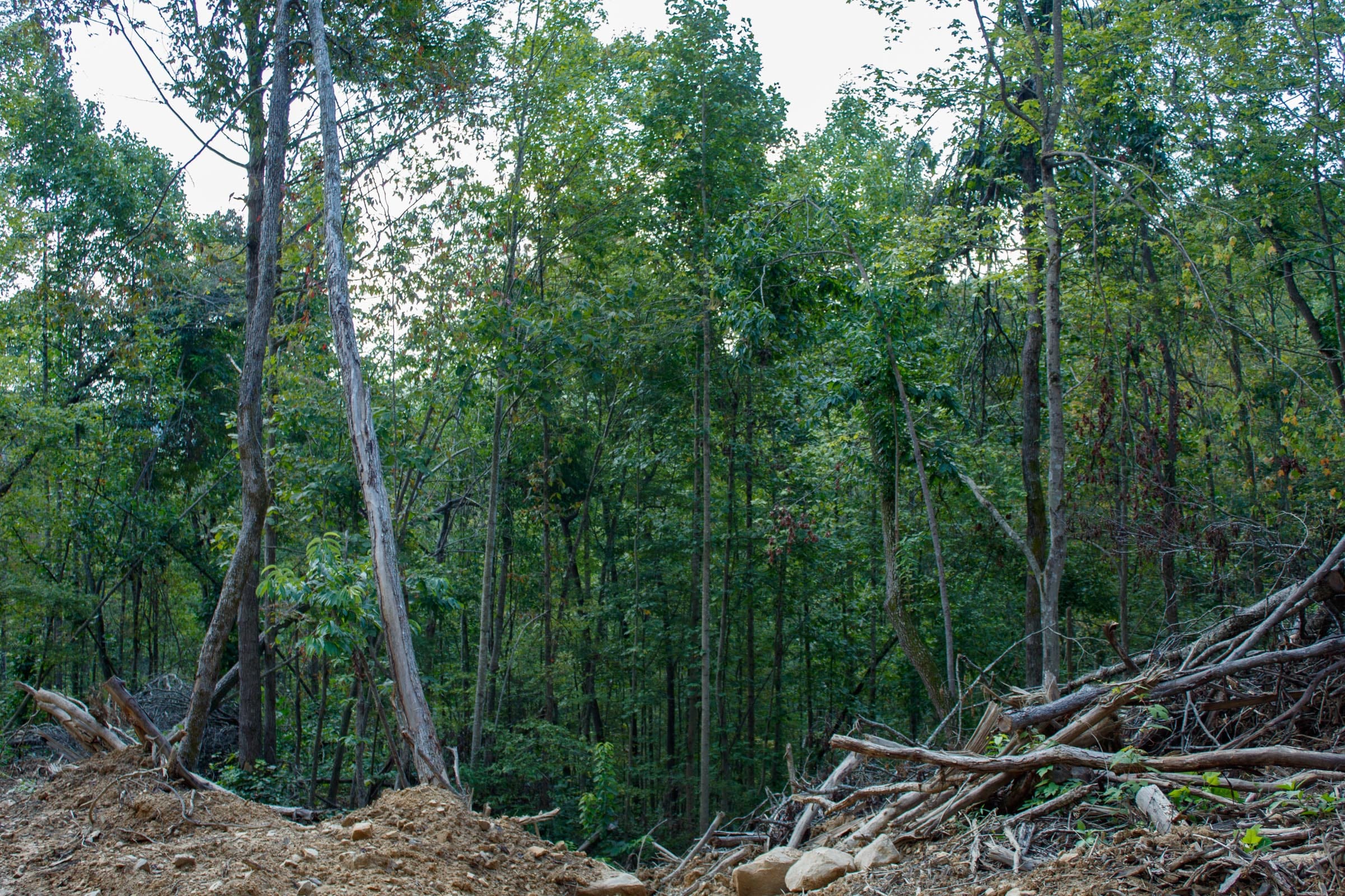 Wounded Oak Tract 13 photo 14