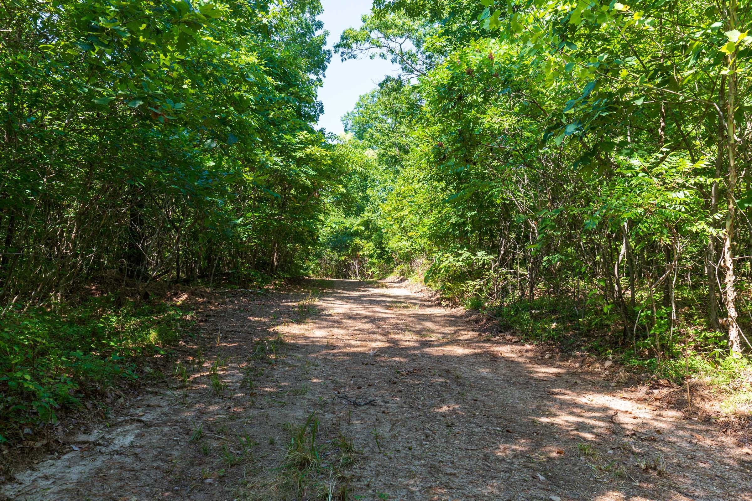 Cypress Ridge Tract 31 photo 1