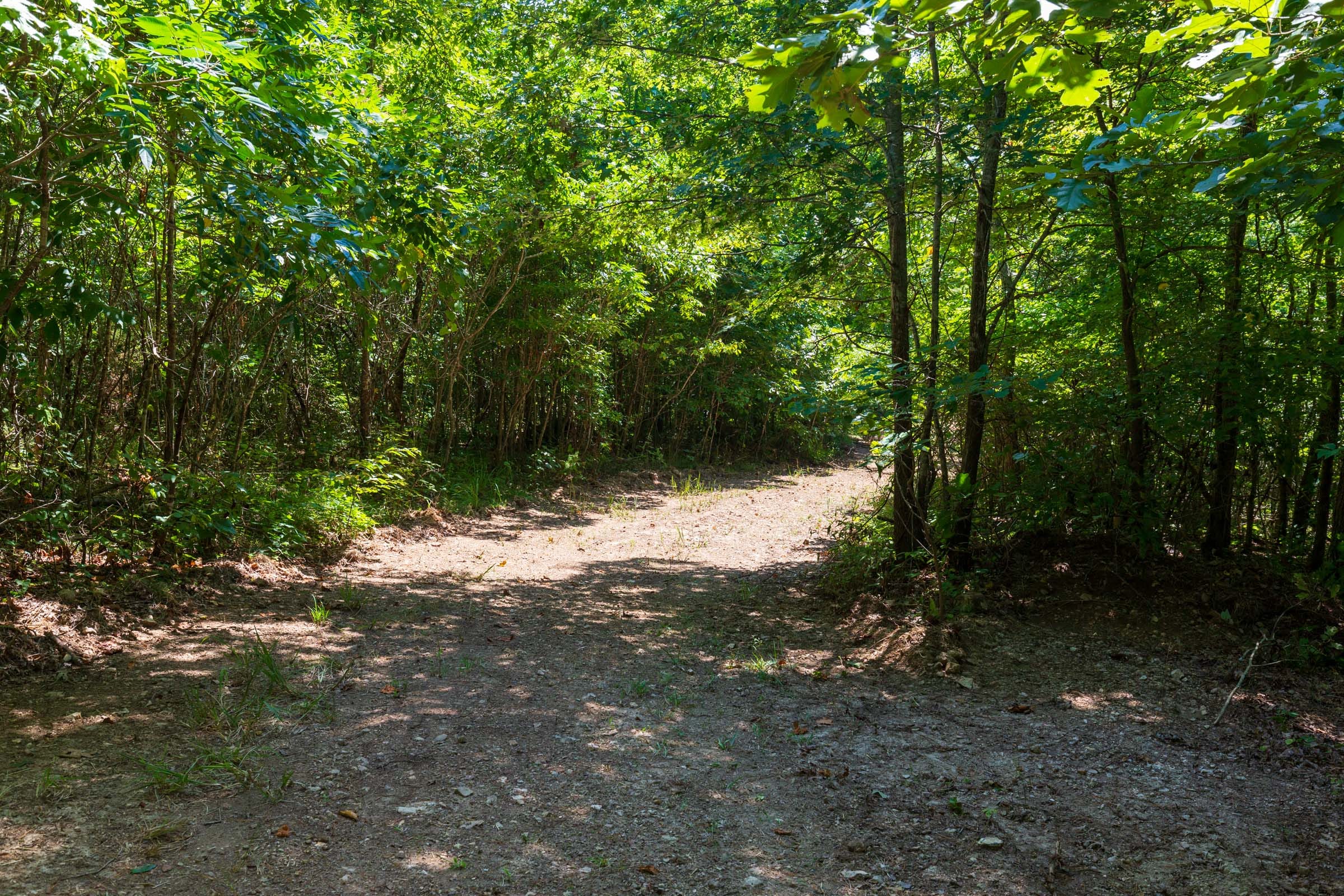 Cypress Ridge Tract 31 photo 4