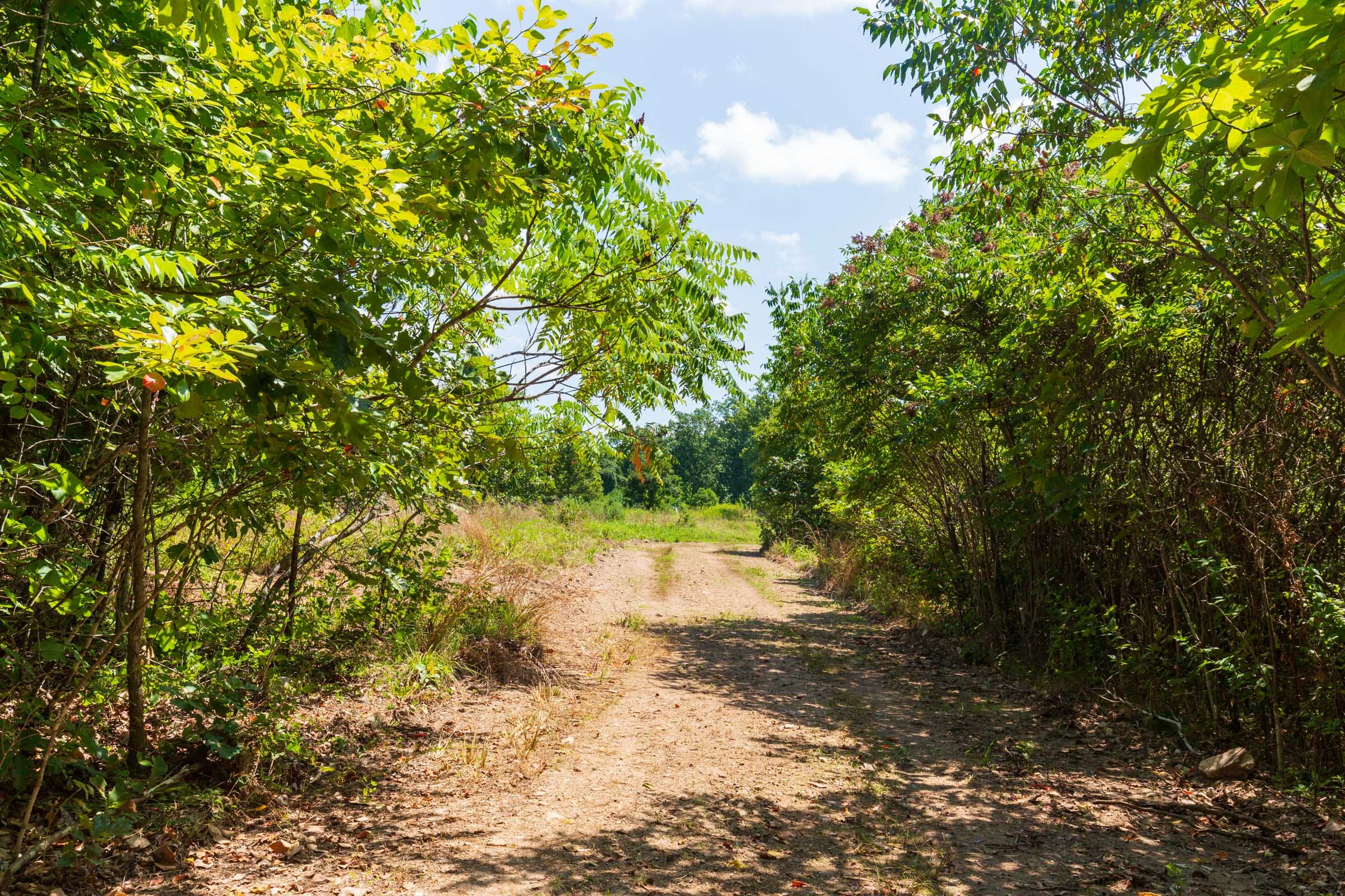Cypress Ridge Tract 31 photo 7