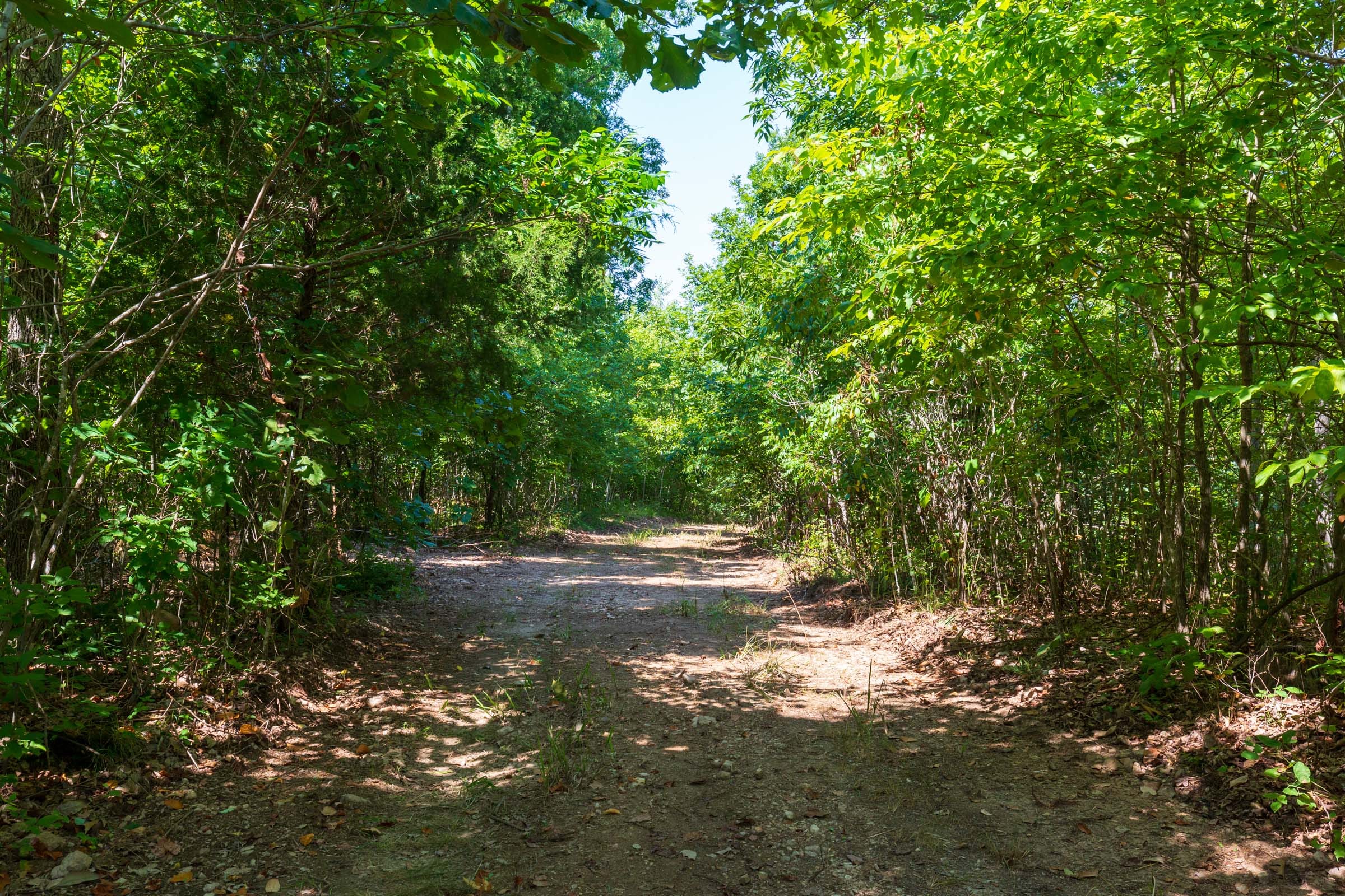 Cypress Ridge Tract 31 photo 10