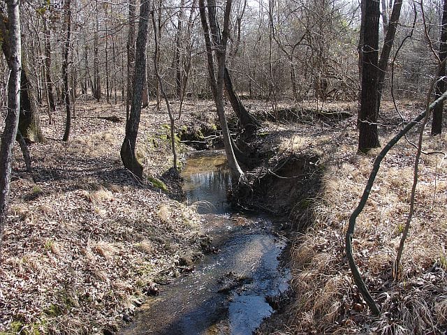 Tranquility Farms Tract 6 photo 1