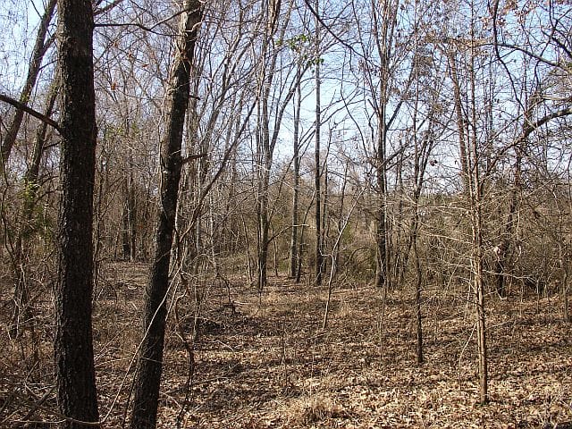 Tranquility Farms Tract 6 photo 4
