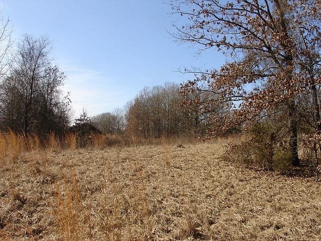 Tranquility Farms Tract 6 photo 5