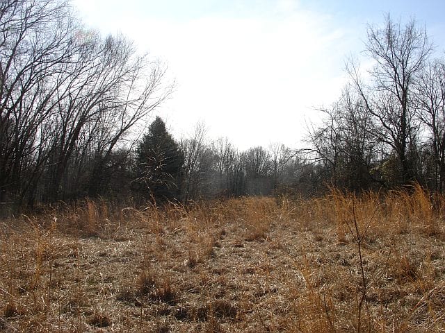Tranquility Farms Tract 6 photo 6
