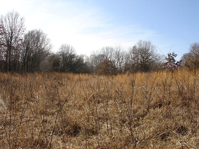 Tranquility Farms Tract 6 photo 7