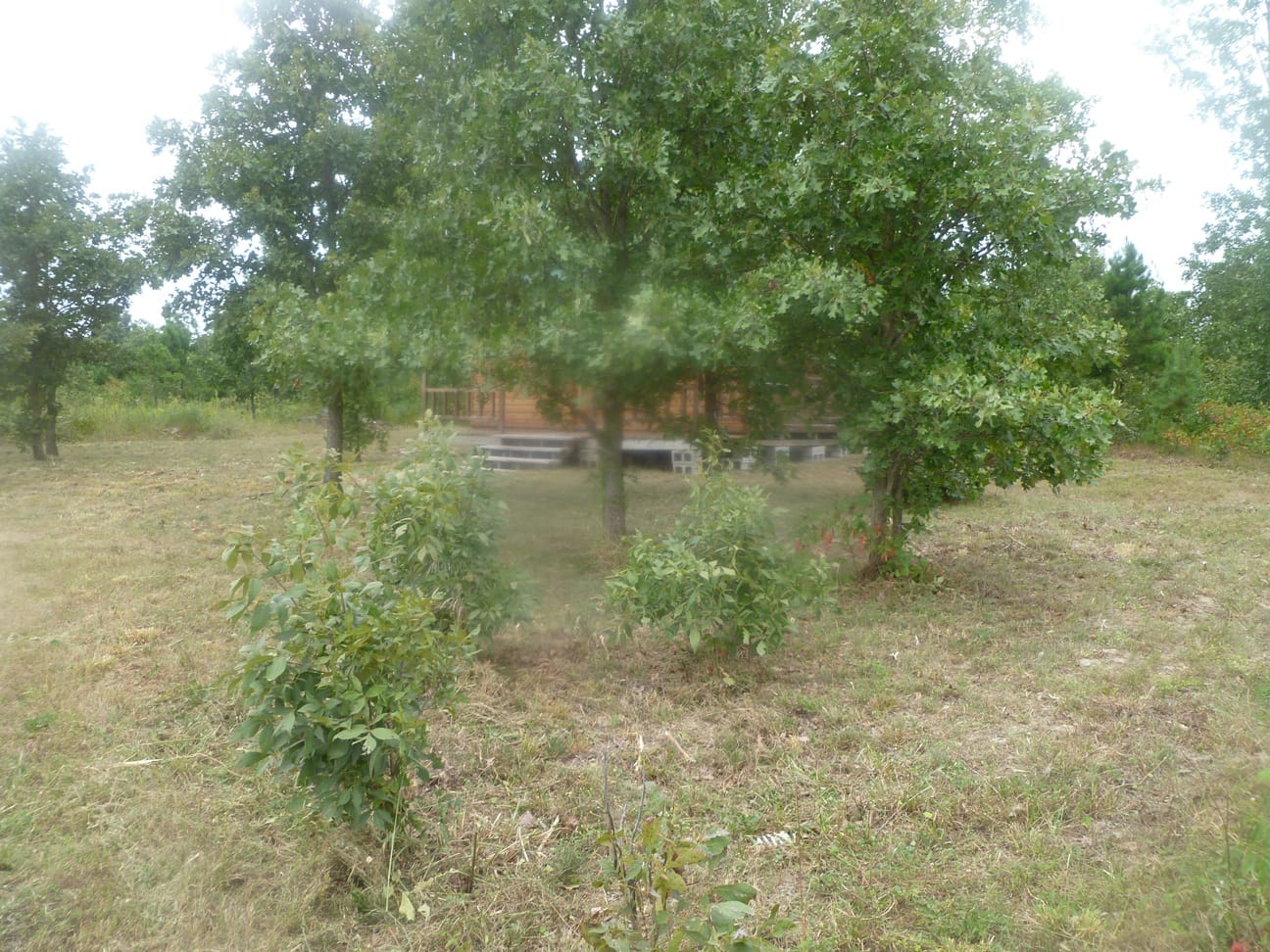 Ranches Of Montauk Park Tract 7 photo 2