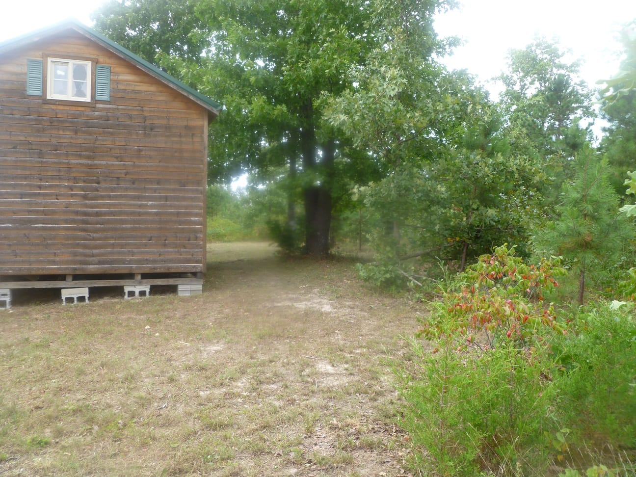Ranches Of Montauk Park Tract 7 photo 4
