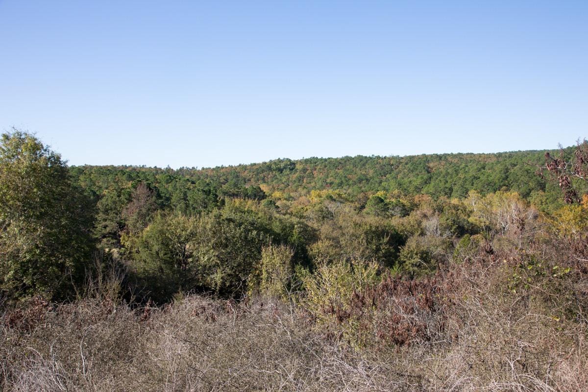 Stone Creek Phase I Tract 184 photo 8