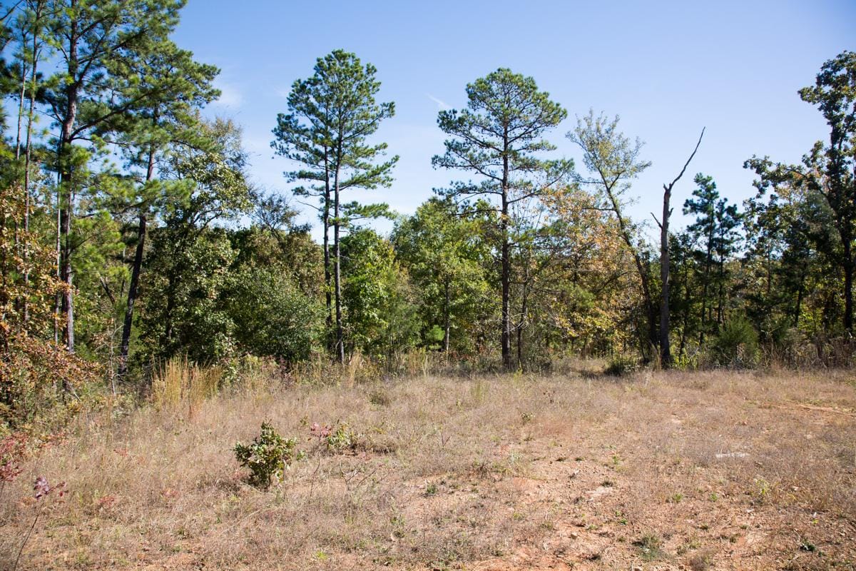 Stone Creek Phase I Tract 184 photo 12