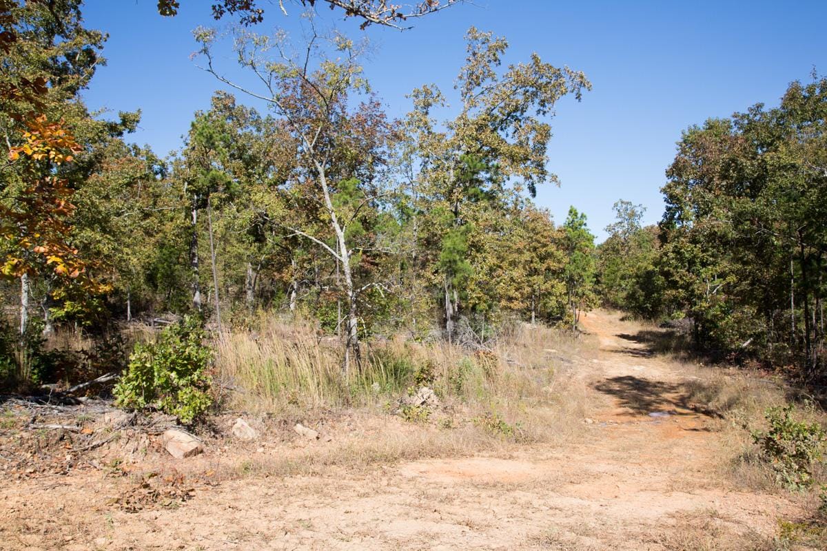 Stone Creek Phase I Tract 184 photo 13