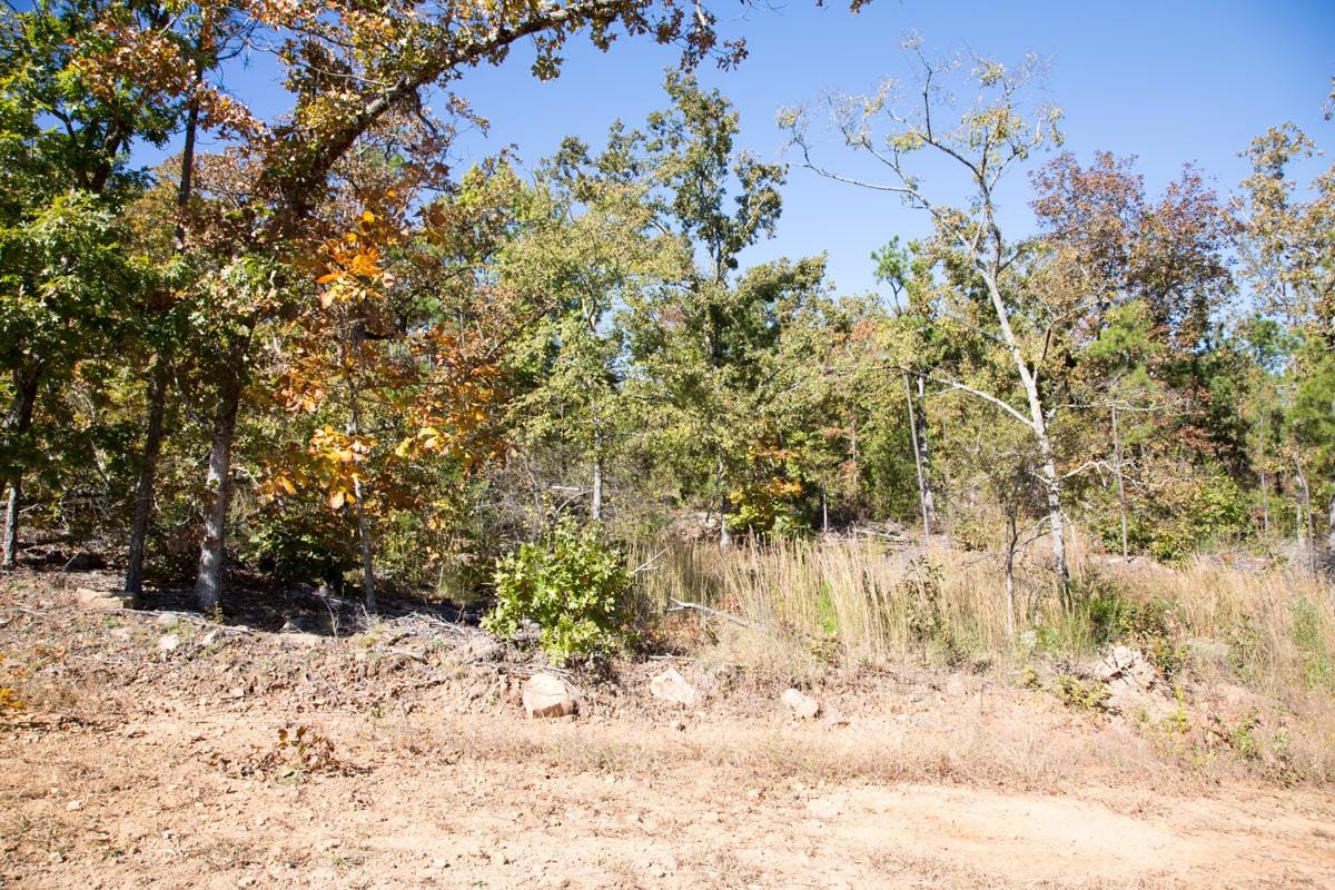 Stone Creek Phase I Tract 184 photo 14