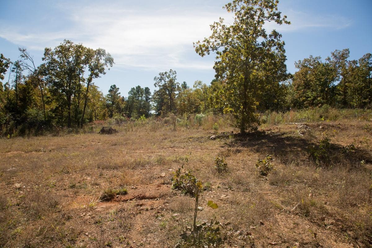 Stone Creek Phase I Tract 184 photo 15