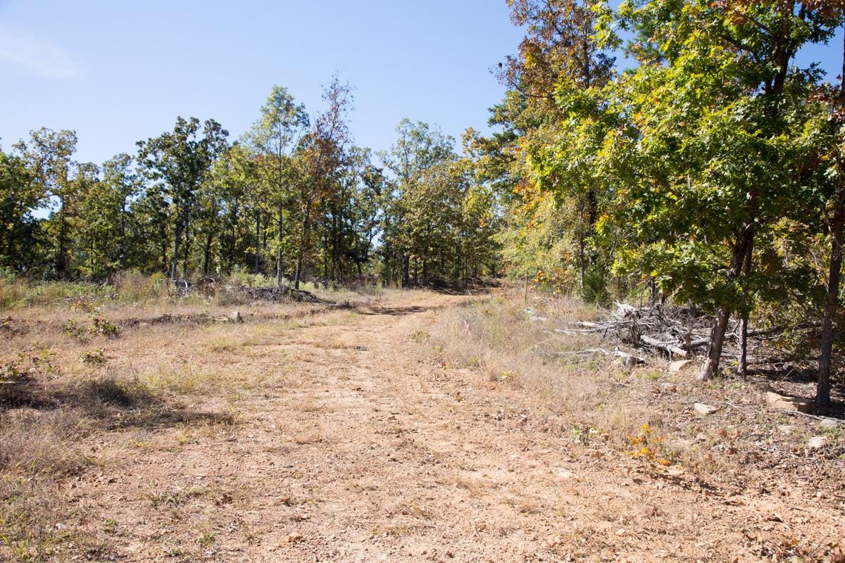 Stone Creek Phase I Tract 184 photo 2