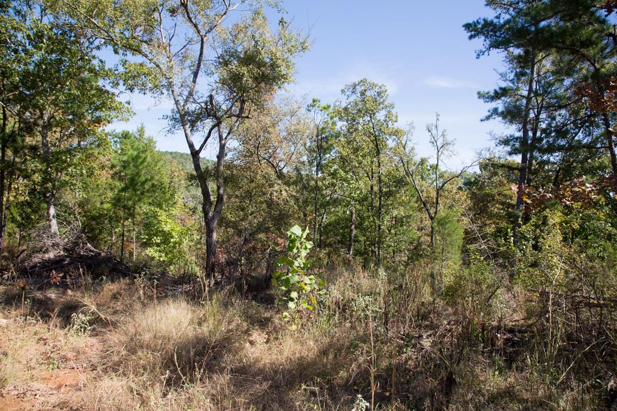 Stone Creek Phase I Tract 184 photo 17