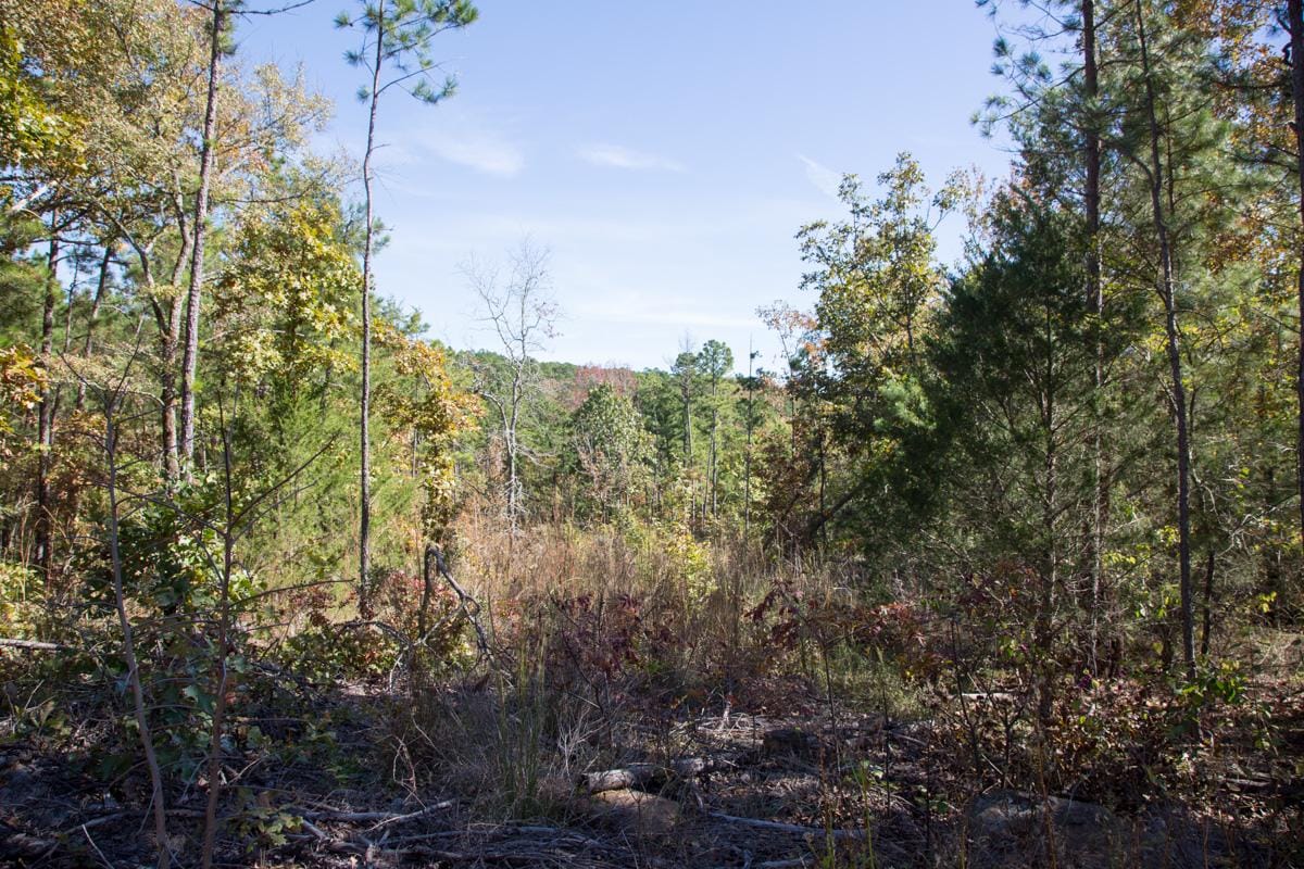 Stone Creek Phase I Tract 184 photo 19