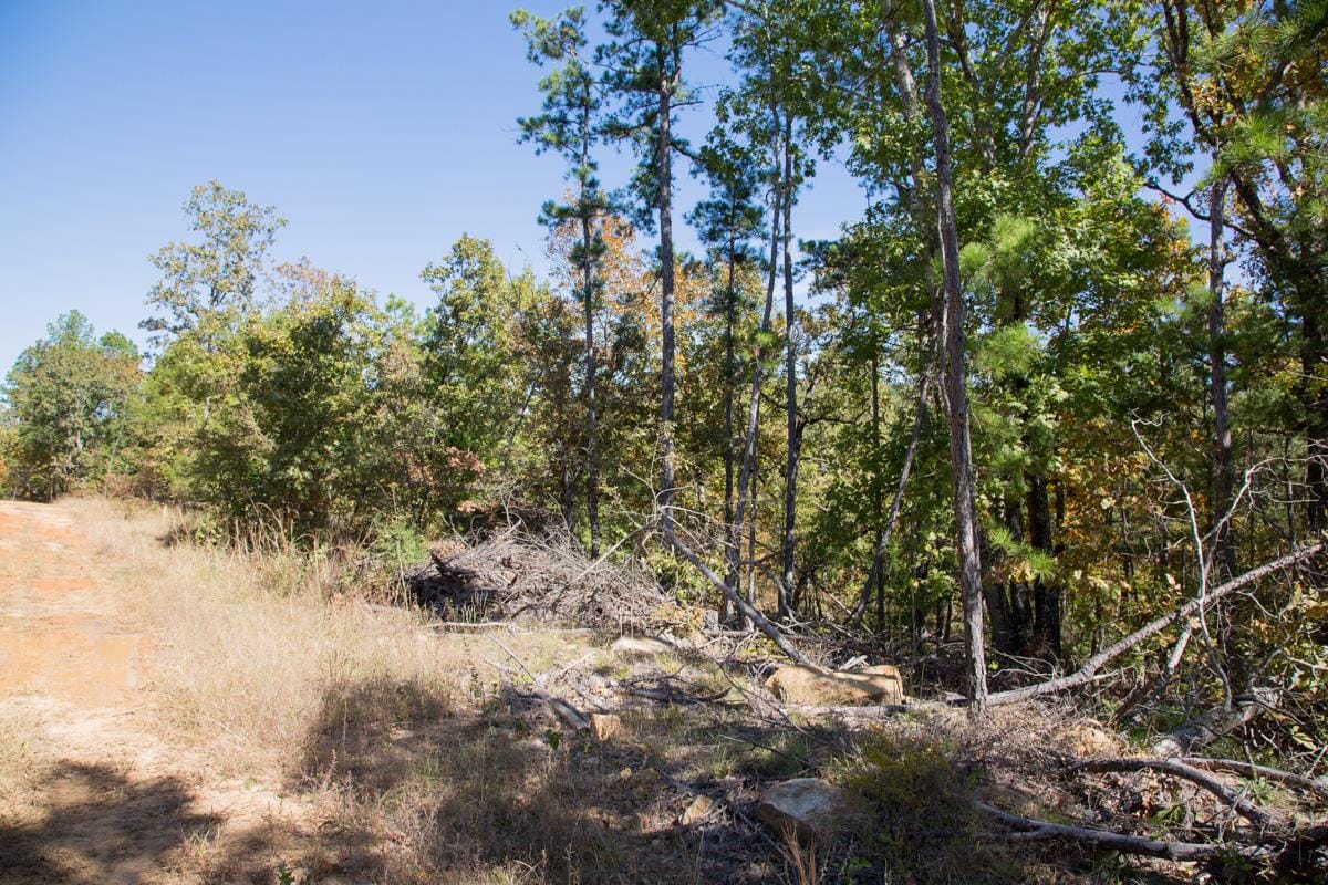 Stone Creek Phase I Tract 184 photo 20