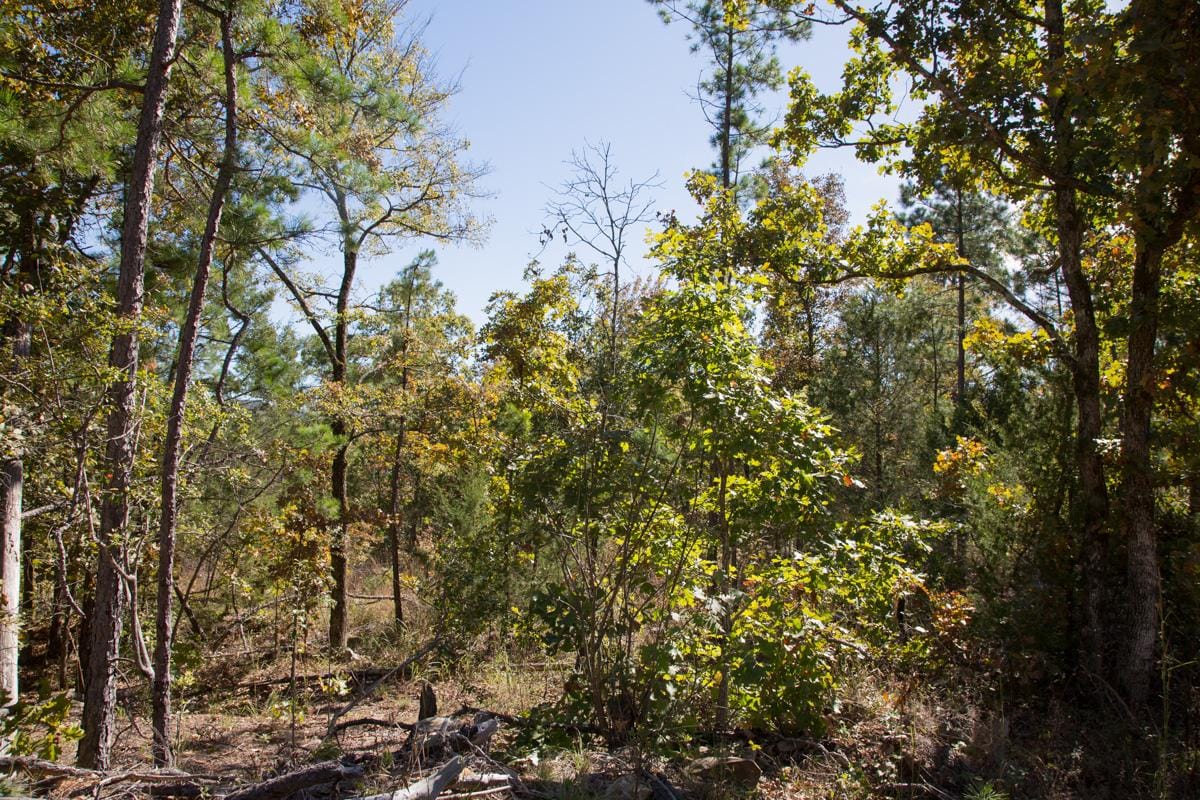 Stone Creek Phase I Tract 184 photo 21