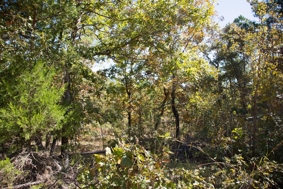 Stone Creek Phase I Tract 184 photo 23