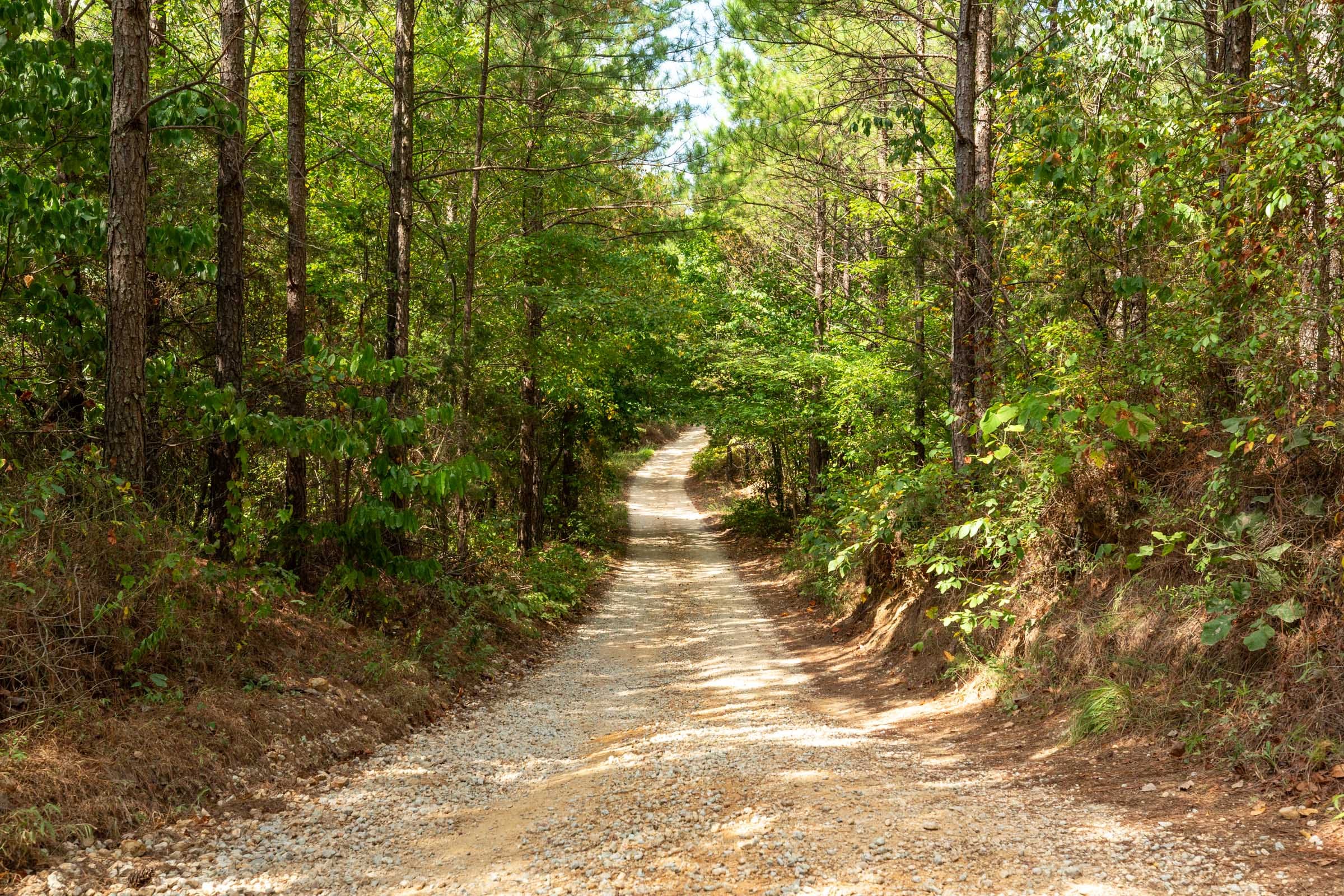 Harvest Ridge Tract 11 photo 1