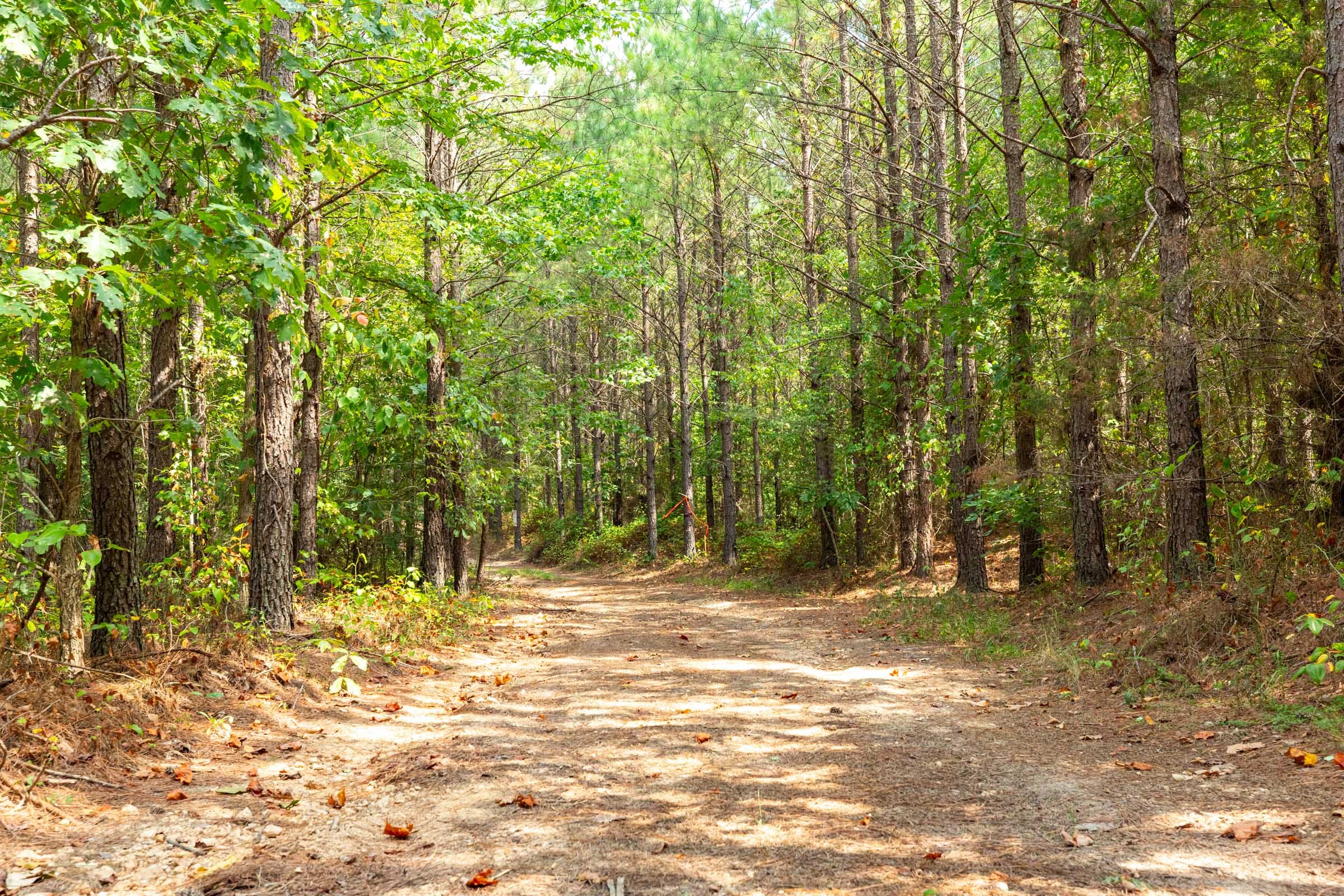 Harvest Ridge Tract 11 photo 12