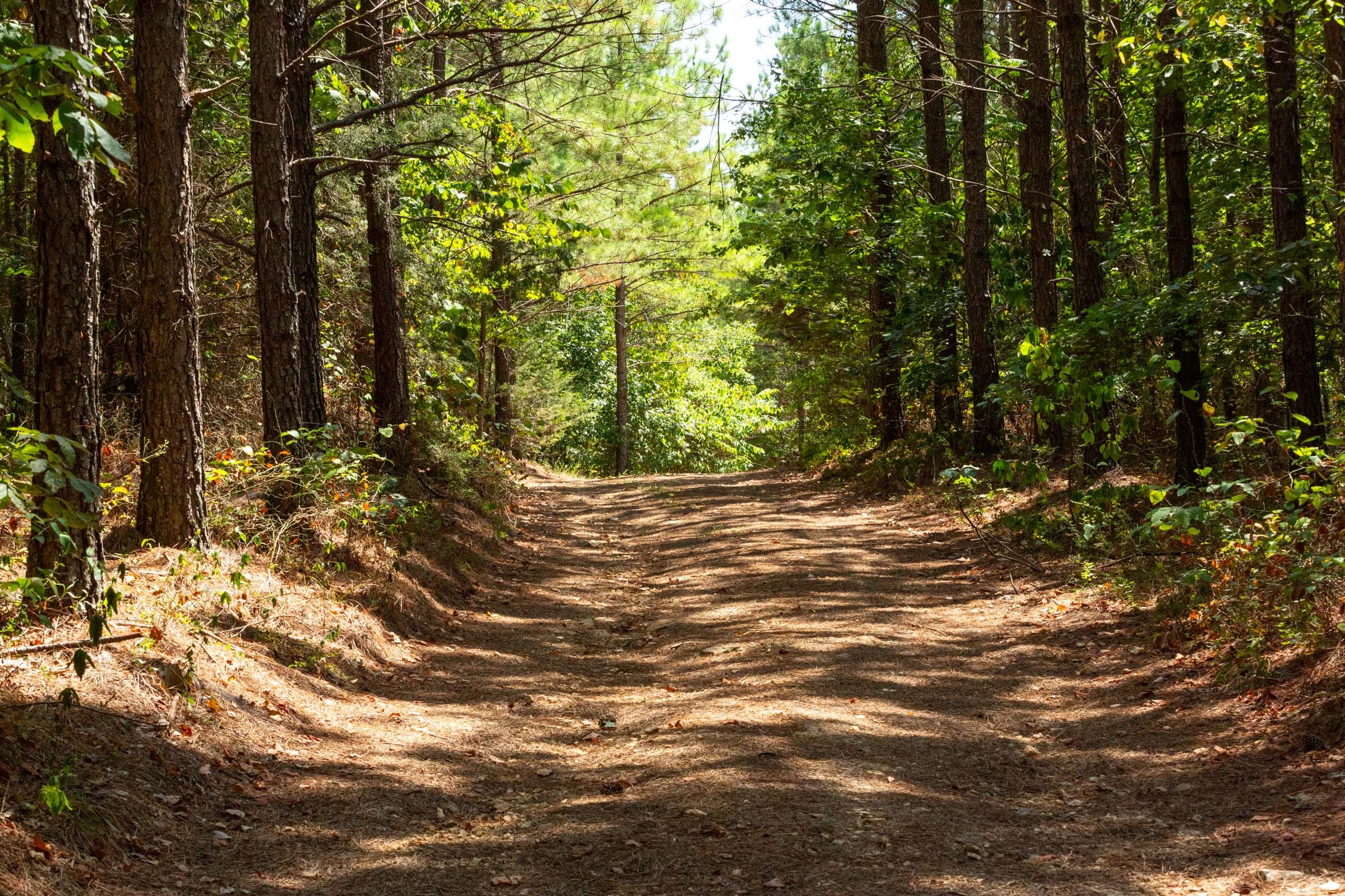 Harvest Ridge Tract 11 photo 7