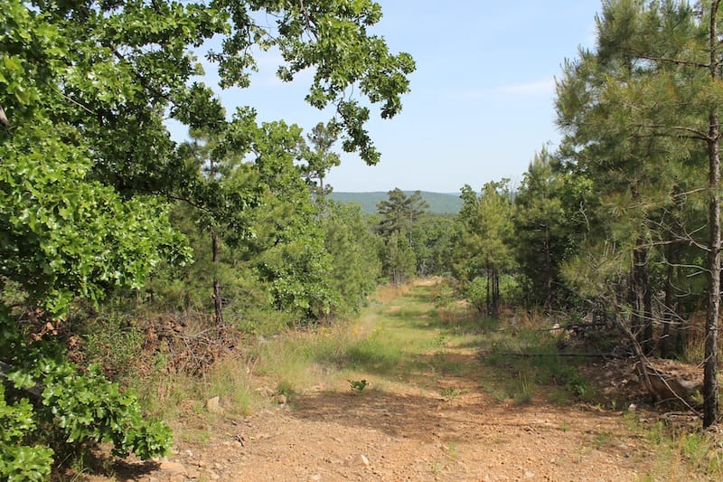 Indian Ridge – Phase II Tract 80 photo 1