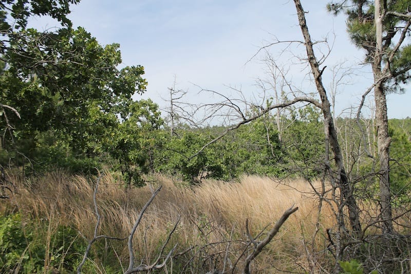 Indian Ridge – Phase II Tract 80 photo 2