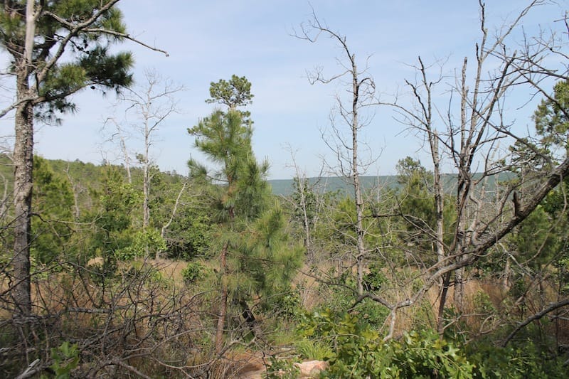 Indian Ridge – Phase II Tract 80 photo 3