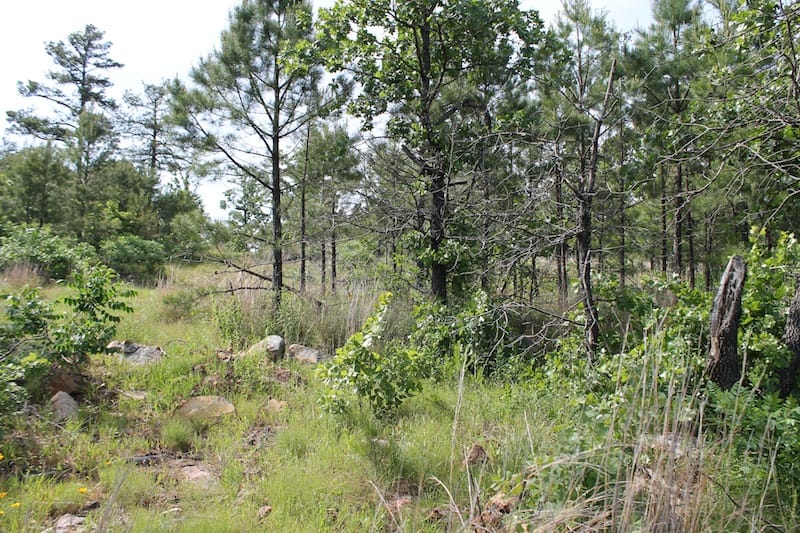 Indian Ridge – Phase II Tract 80 photo 4