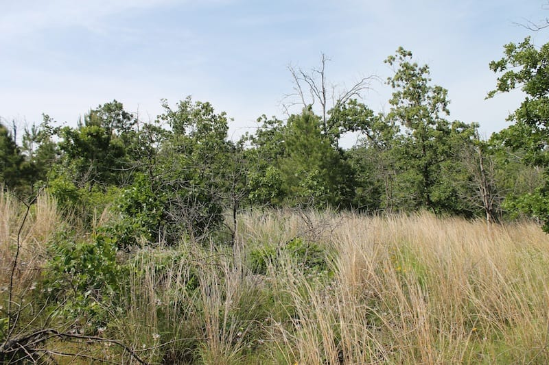 Indian Ridge – Phase II Tract 80 photo 5