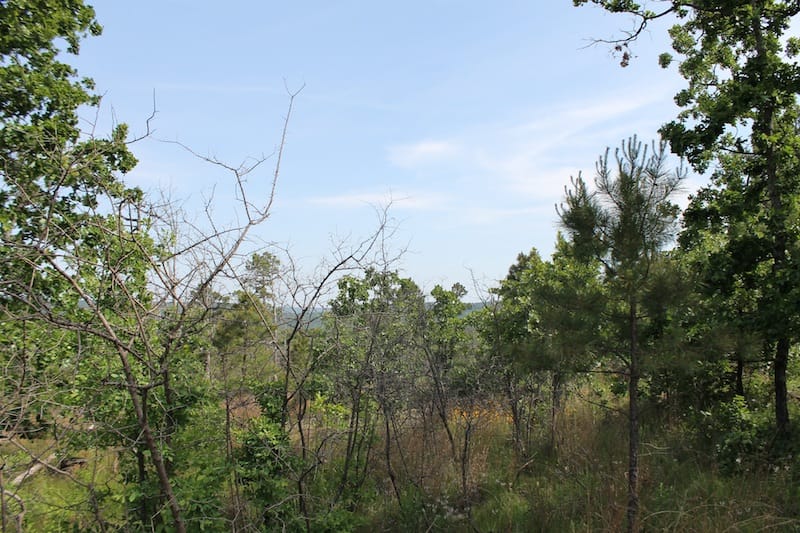 Indian Ridge – Phase II Tract 80 photo 7