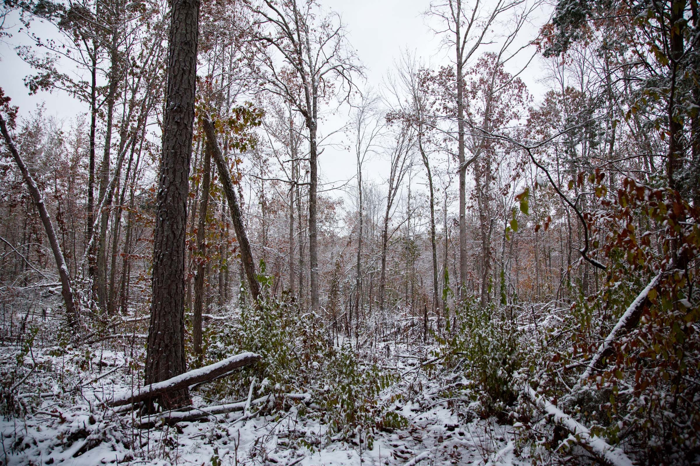 Sweet Water Ranch Tract 4 photo 1