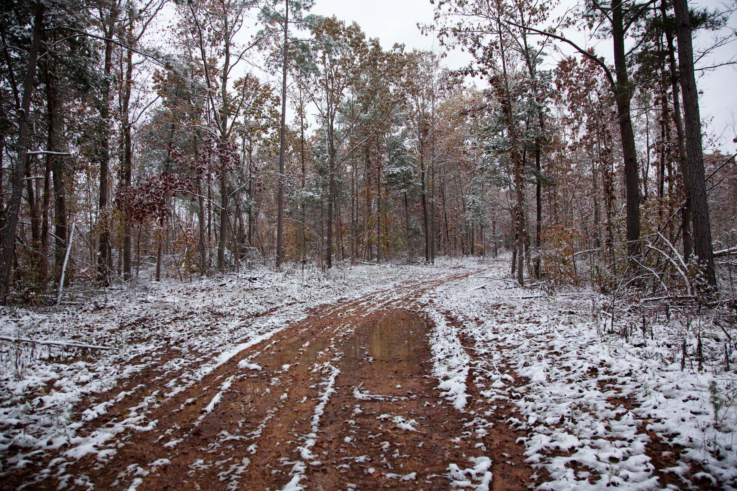 Sweet Water Ranch Tract 4 photo 2