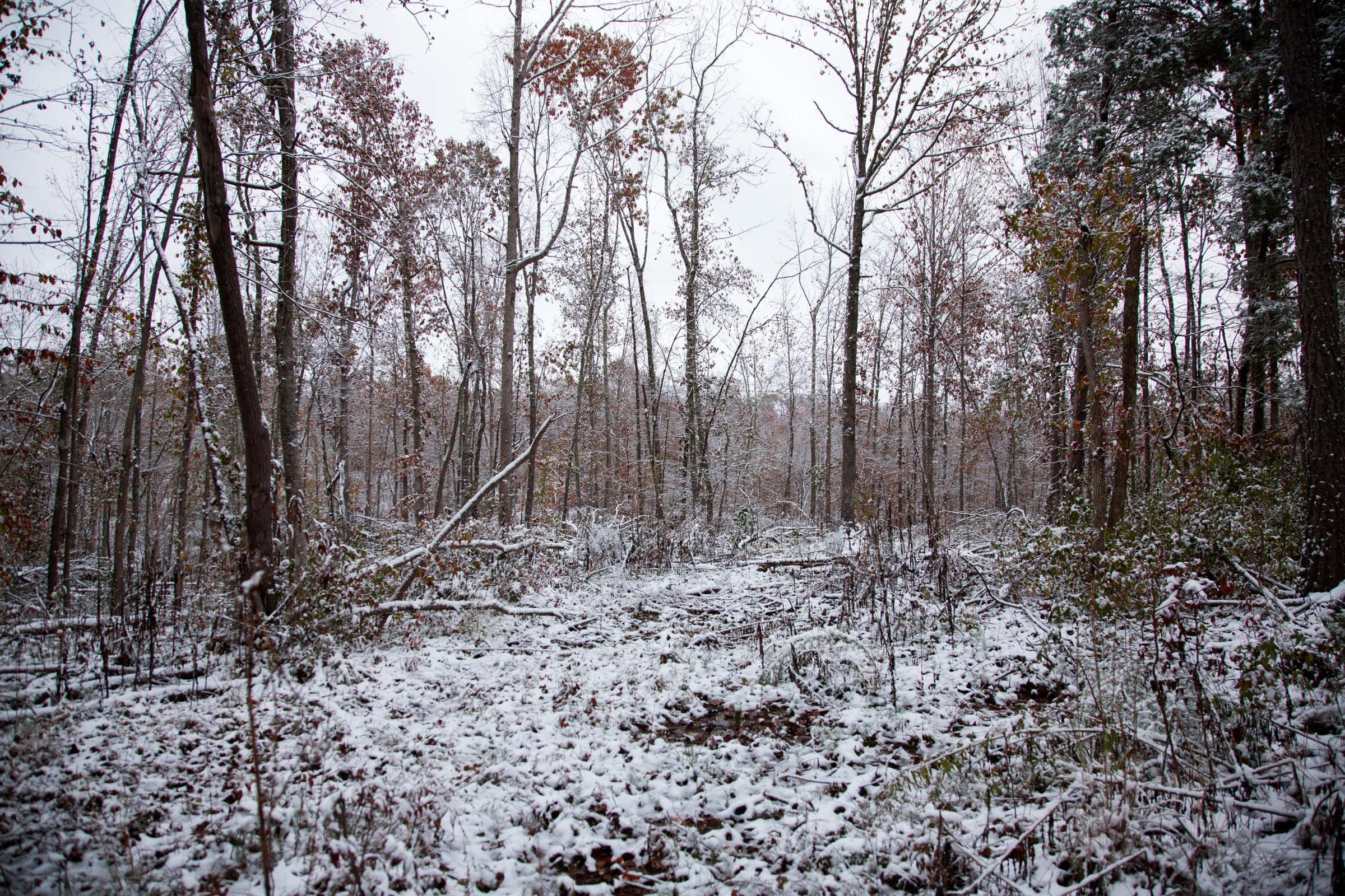 Sweet Water Ranch Tract 4 photo 3