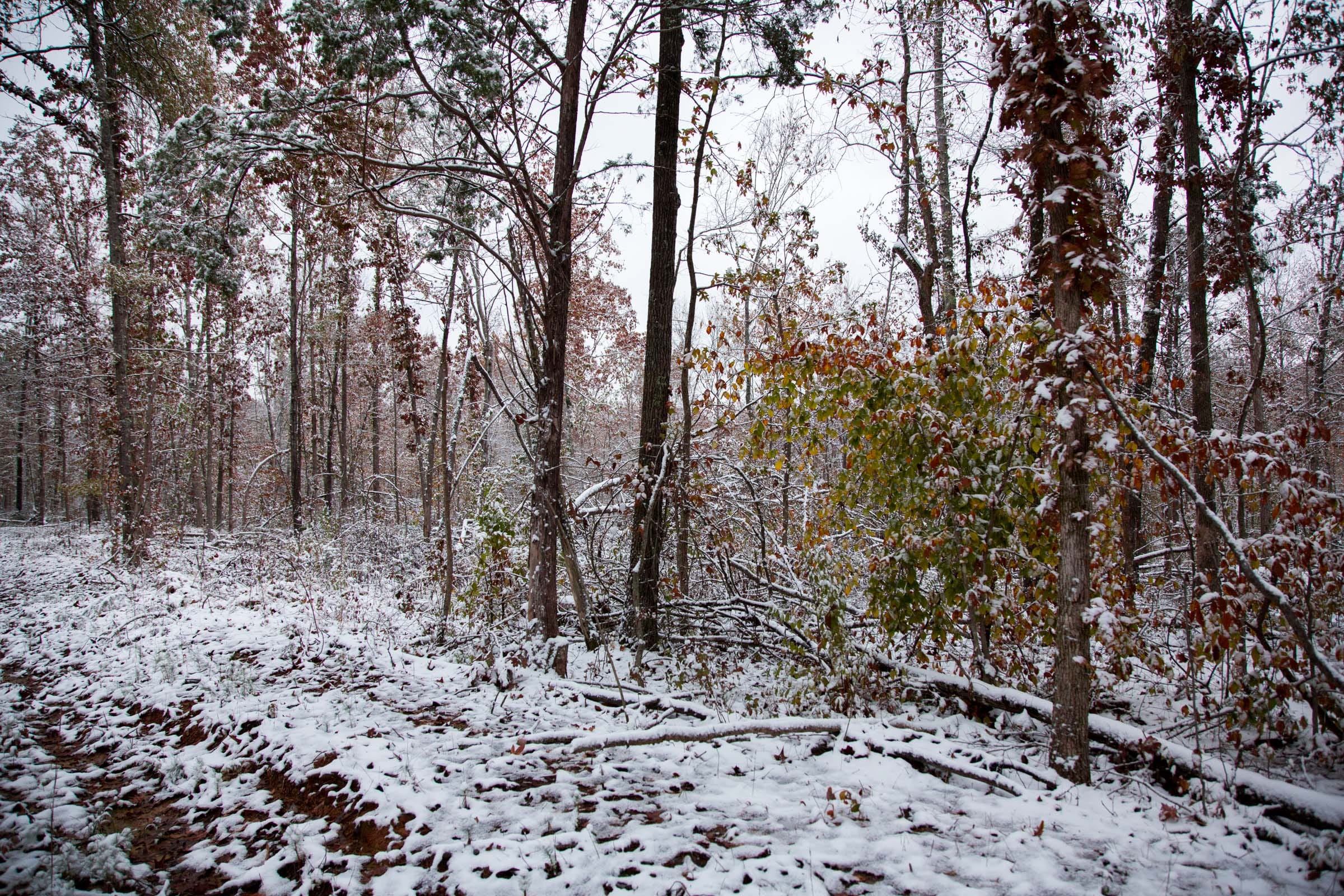 Sweet Water Ranch Tract 4 photo 4
