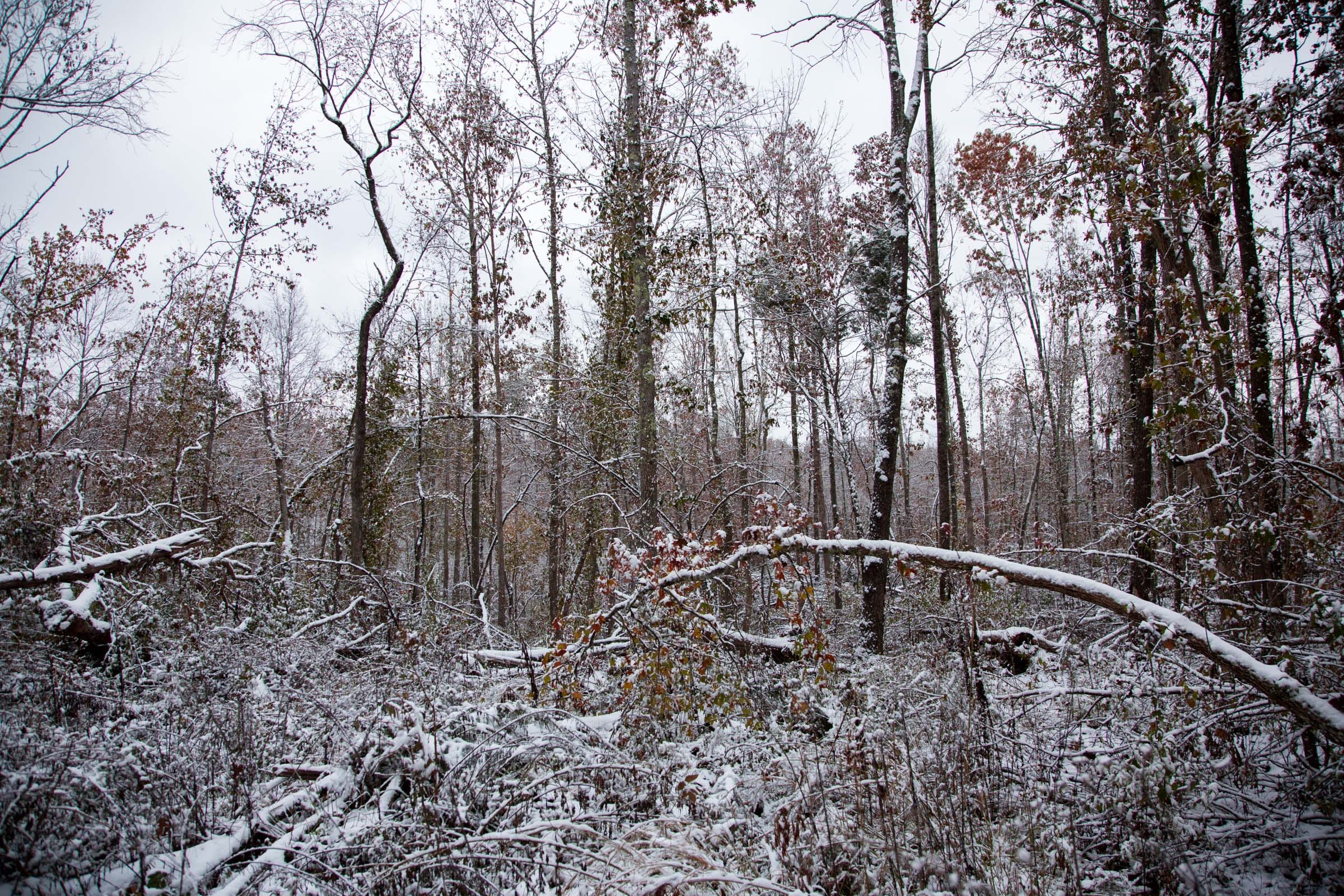 Sweet Water Ranch Tract 4 photo 5