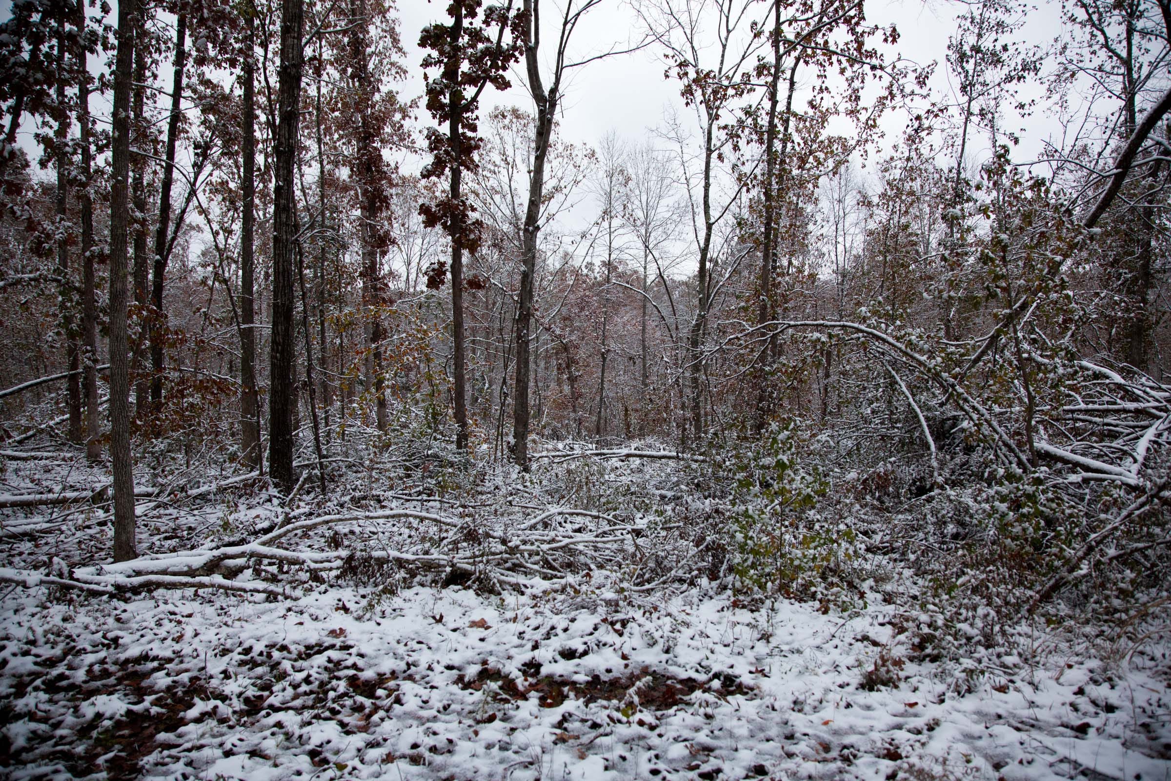 Sweet Water Ranch Tract 4 photo 6