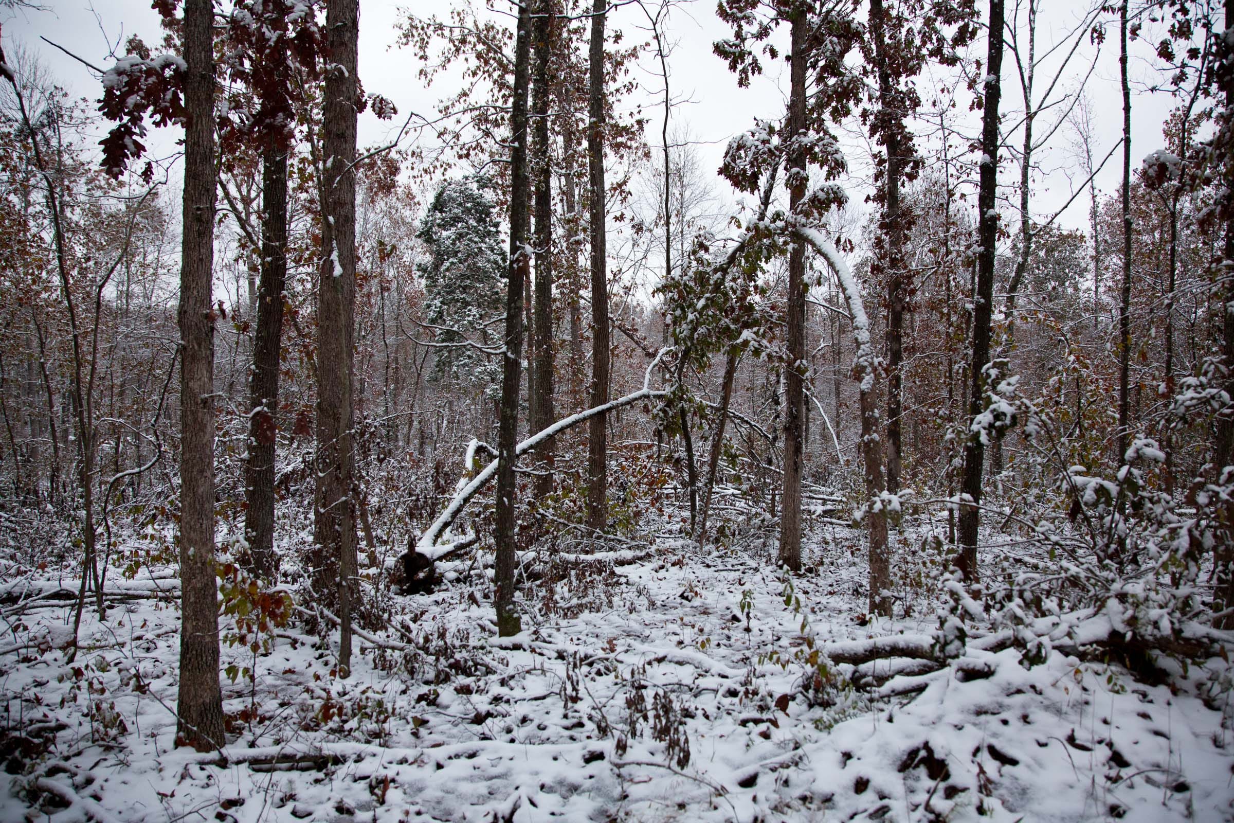 Sweet Water Ranch Tract 4 photo 7