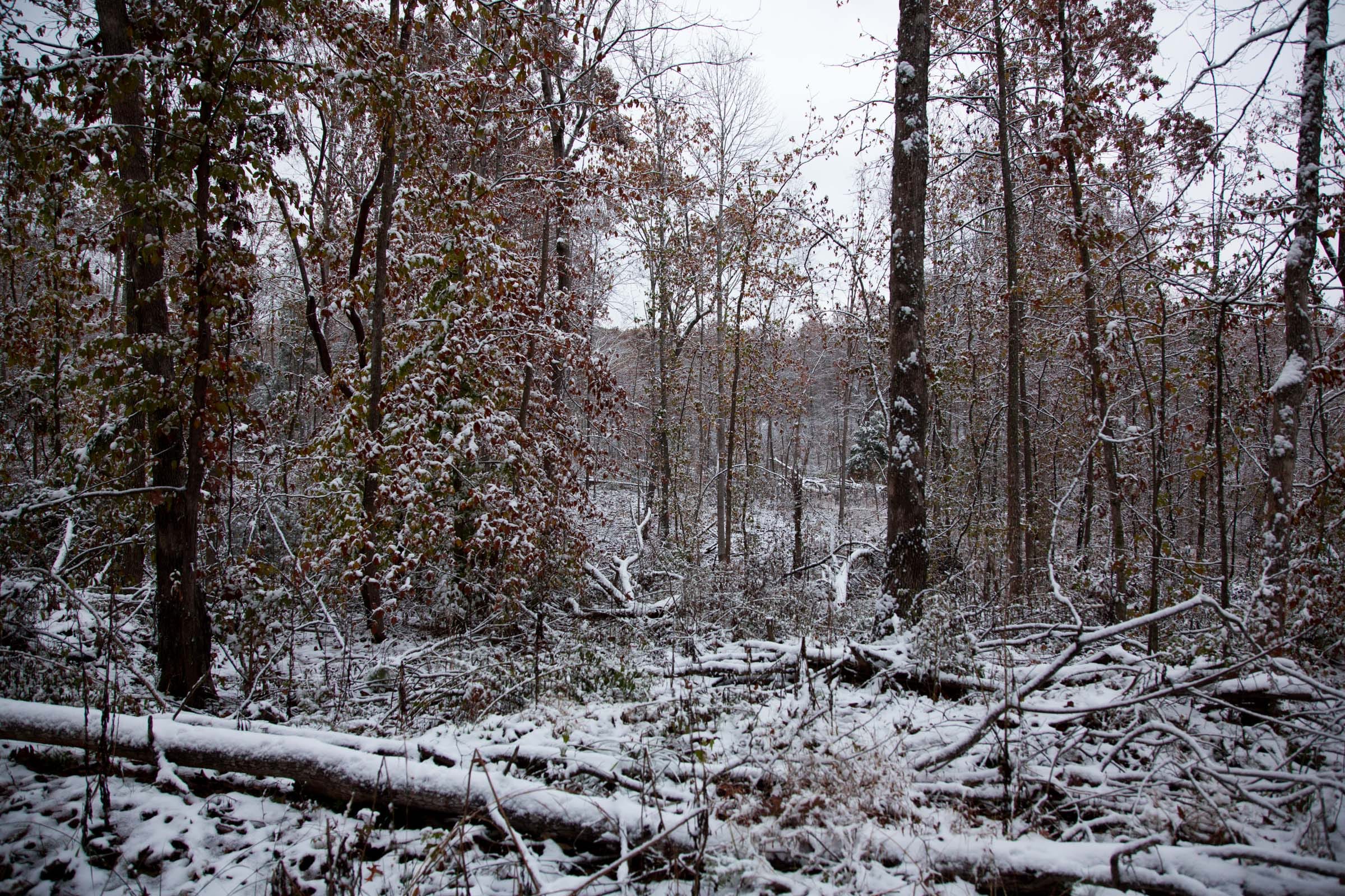 Sweet Water Ranch Tract 4 photo 9
