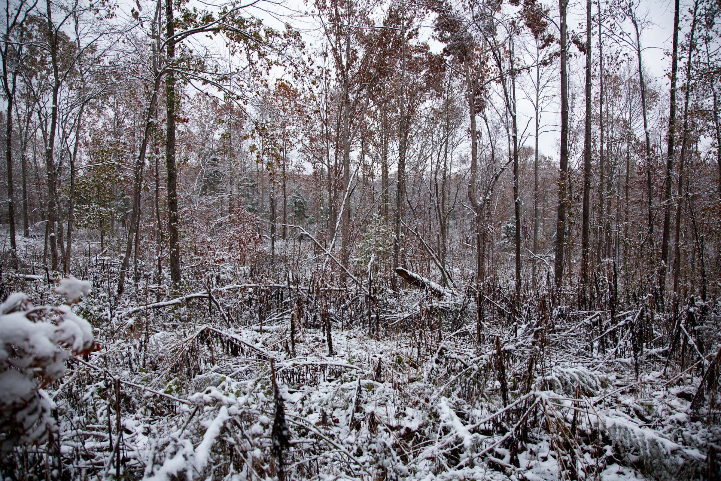 Sweet Water Ranch Tract 4 photo 10
